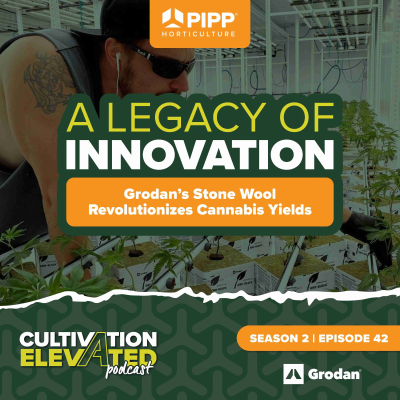episode 042 - A Legacy of Innovation: Grodan's Stone Wool Revolutionizes Cannabis Yields artwork