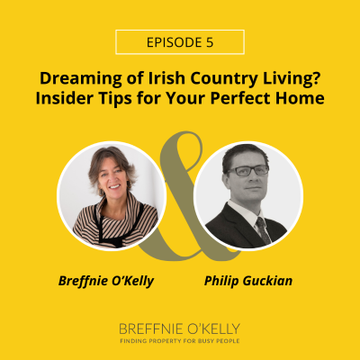 episode 64. Part 5 of the country Home Series Dreaming of Irish Country Living? Insider Tips for Your Perfect Home artwork