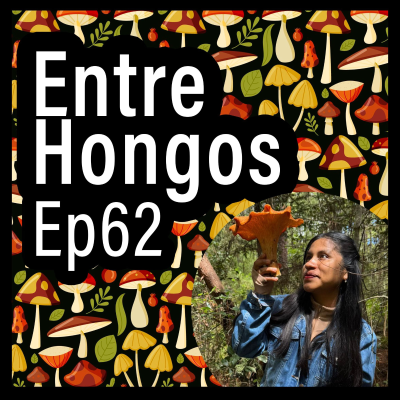 episode Entre Hongos Ep. 62 - Defensa del patrimonio biocultural de la Mixteca Oaxaqueña (Belén Itahi Bautista) artwork