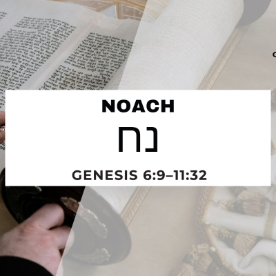 episode CMC Parasha Noach 5786 artwork