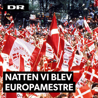 Natten vi blev Europamestre