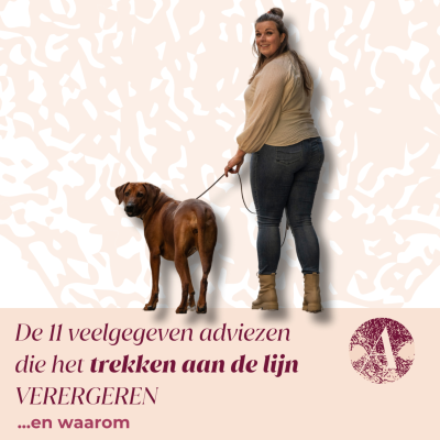 episode De 11 veelgegeven adviezen die het trekken aan de lijn VERERGEREN #118. artwork