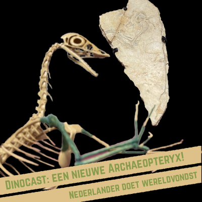 episode Een nieuwe Archaeopteryx! Nederlander doet wereldvondst artwork