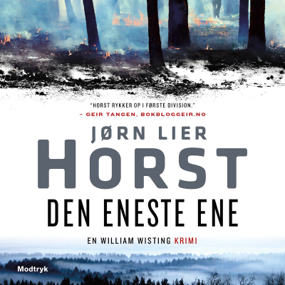Den eneste ene