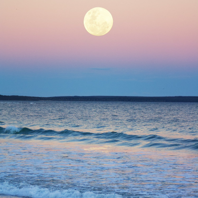 episode Sit With: Abundant Full Moon Meditation artwork