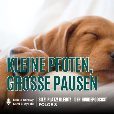 episode #8 Warum kleine Pfoten große Pausen brauchen - Schlaf im Welpenalltag artwork