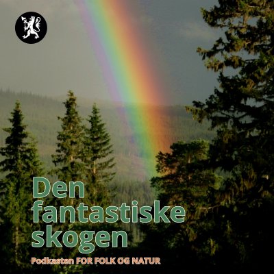 episode Den fantastiske skogen artwork