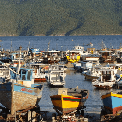 episode Etnobotânica na Reserva Extrativista Marinha de Arraial do Cabo, RJ, Brasil artwork