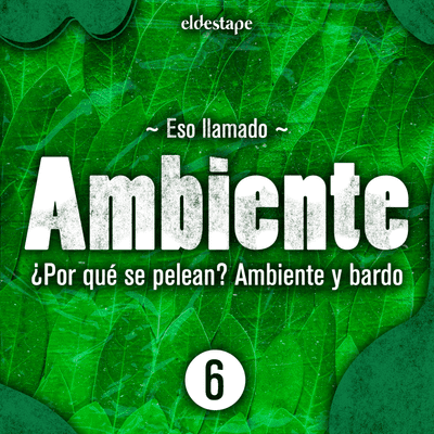 episode Episodio 6: ¿Por qué se pelean? Ambiente y bardo artwork