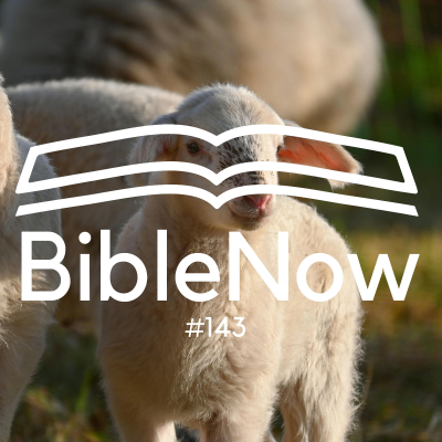 episode BibleNow #143: 4. Mose 18,8-32 artwork