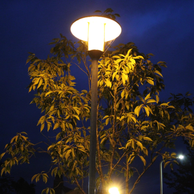 episode Lichtverschmutzung verlängert die Vegetationsperiode in Städten artwork