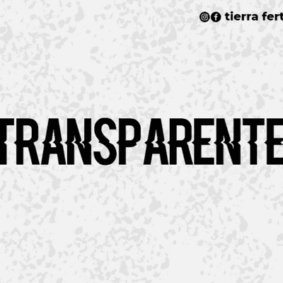 episode TRANSPARENTE artwork