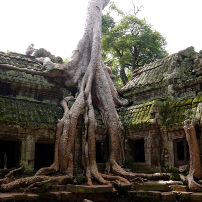 episode CTDEA Movie Club: Angkor Wat artwork