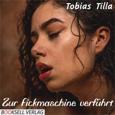 Cover image Zur Fickmaschine verführt (Unabridged)