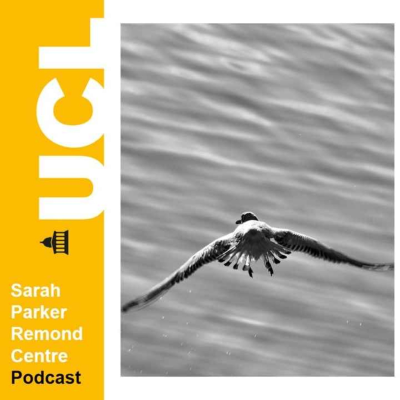 episode In Conversation with the SPRC: Movement, bodies and the question of race-making artwork