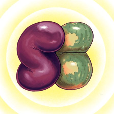 Small Beans