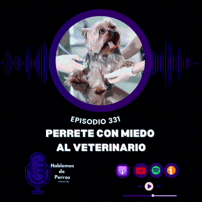 episode EP#331: Perro con miedo al veterinario artwork