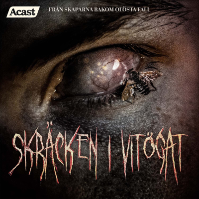 episode 11. I allhelgonamånens ljus - Del 2 artwork