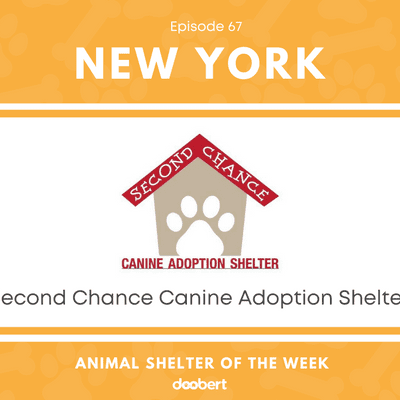 episode Animal Shelter of the Week: Episode 67 – Second Chance Canine Adoption Shelter artwork