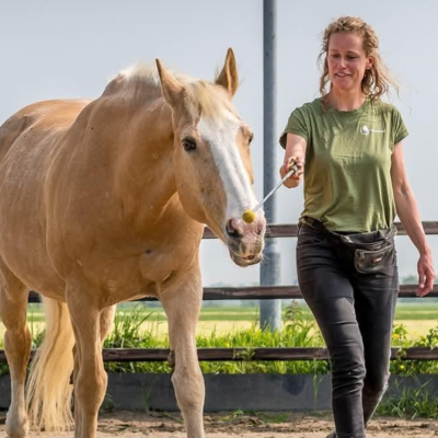 episode #271: "Ongewenst" gedrag bij paarden met gedragsdeskundige Paula van de Geest artwork