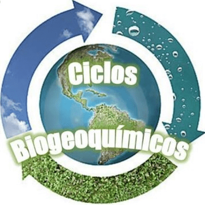 Biogeoquimica