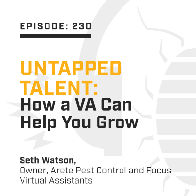 episode Episode 230: Untapped Talent: How a VA Can Help You Grow artwork