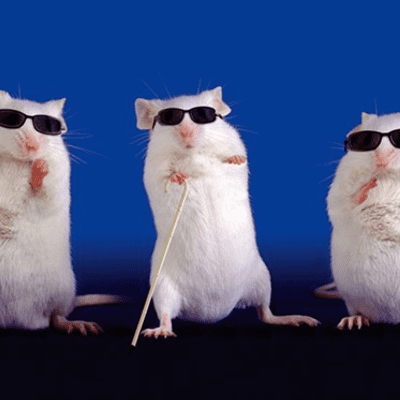 episode Three Blind Mice artwork