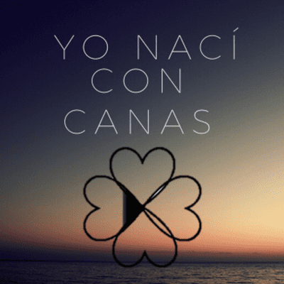 episode ¿Cómo hacer una correcta visualización? artwork