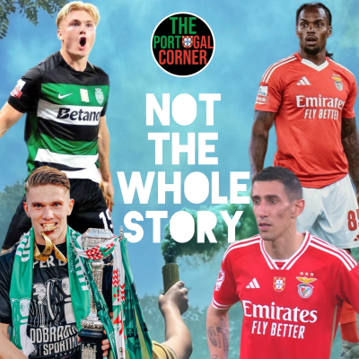 episode Not the Whole Story artwork
