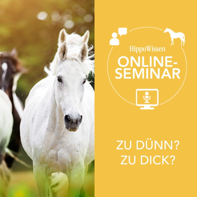 episode HippoPod: Zu dünn? Zu dick? artwork