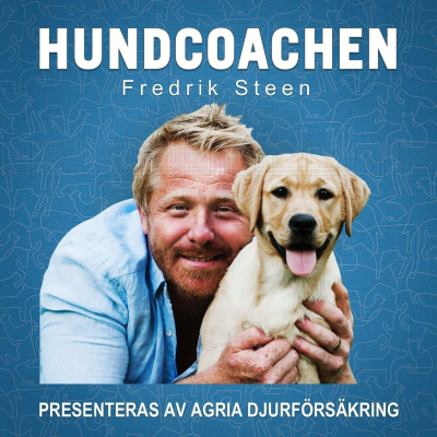 episode 30. Allt om utställningar artwork