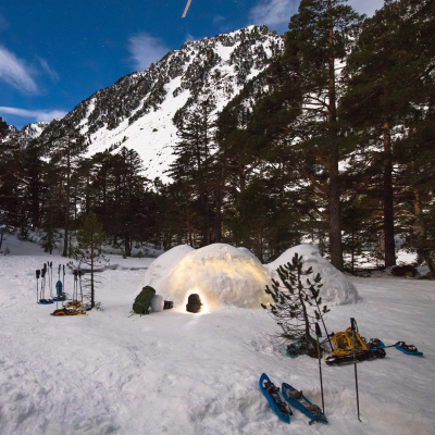 episode Baños de bosque nevados artwork