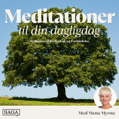 episode 20 minutters guidet meditation til forbindelse og fællesskab artwork