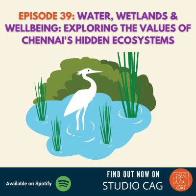 episode Episode 39: Water, Wetlands & Wellbeing: Exploring the hidden values of Chennai's ecosystems artwork