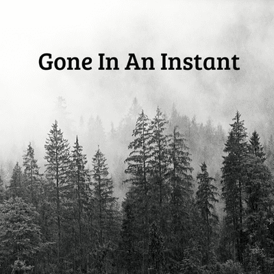 Gone in an Instant
