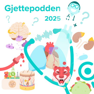 episode Gjettepodden 2025: Topp 15 til nasjonal eksamen artwork
