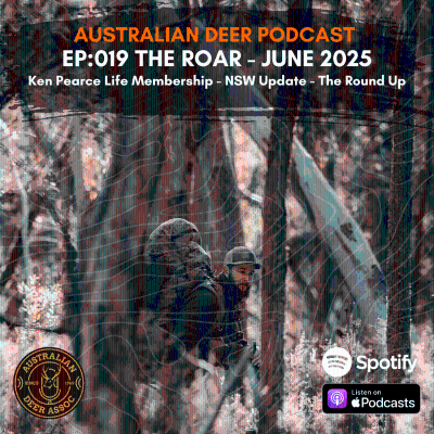 episode Ep:019 The Roar: June 2025 artwork
