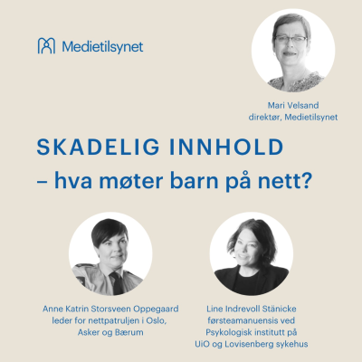 episode Skadelig innhold - hva møter barn på nett? artwork