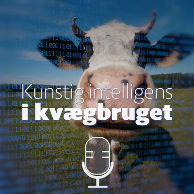 episode Kunstig intelligens i kvægbruget 2: Data management - optimal udnyttelse af data artwork