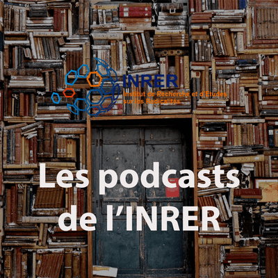 episode INRER – Colonel Michel Goya : “Vos guerres, nos morts” artwork