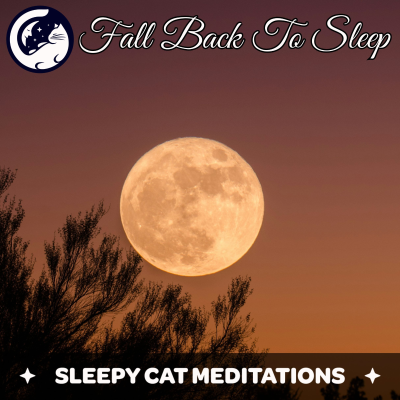 episode Fall Back To Sleep Meditation artwork