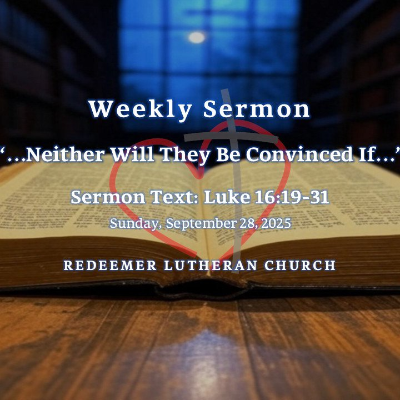 episode "...Neither Will They Be Convinced If..." † artwork
