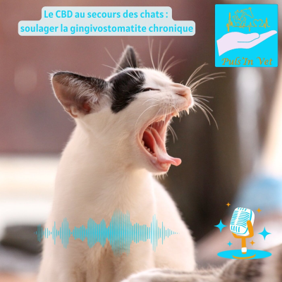 episode Le CBD au secours des chats : soulager la gingivostomatite chronique artwork