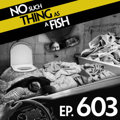 episode 603: No Such Thing As Jack Can't Reacher artwork