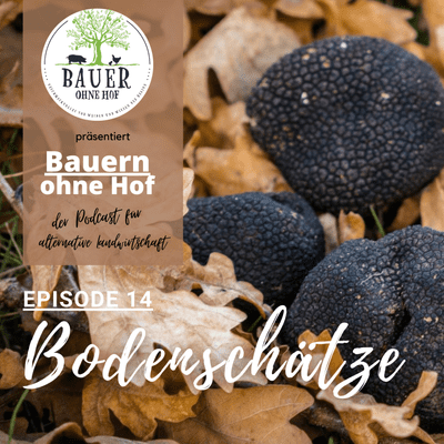 episode Episode 14 - Bodenschätze artwork