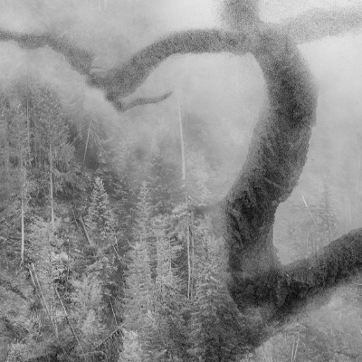 episode Daniel Egger artwork