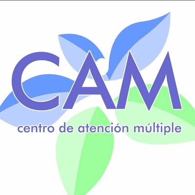 ¿QUÉ ES EL CAM?