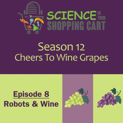 episode Season 12: Cheers To Wine Grapes | Episode 8: Robots & Wine artwork