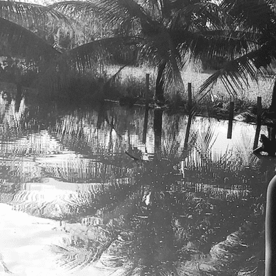 episode Podcast: poluição aquática artwork