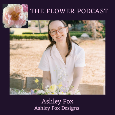 episode Finding Your MVP with Ashley Fox of Ashley Fox Designs artwork